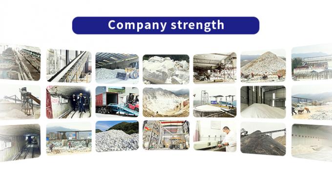 Guangdong XiMi New Material Technology Co., Ltd Wycieczka po fabryce